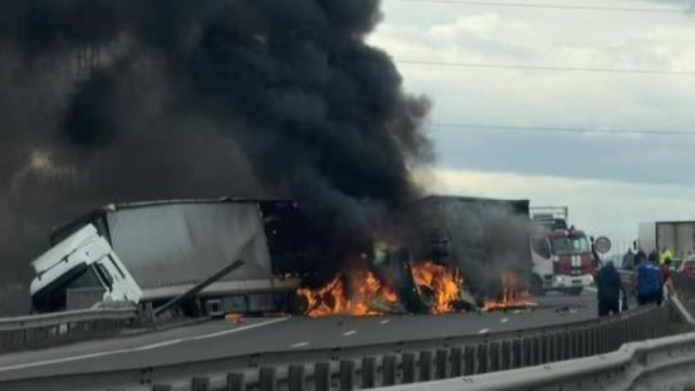 Два камиона се удариха на Северната тангента в София съобщава